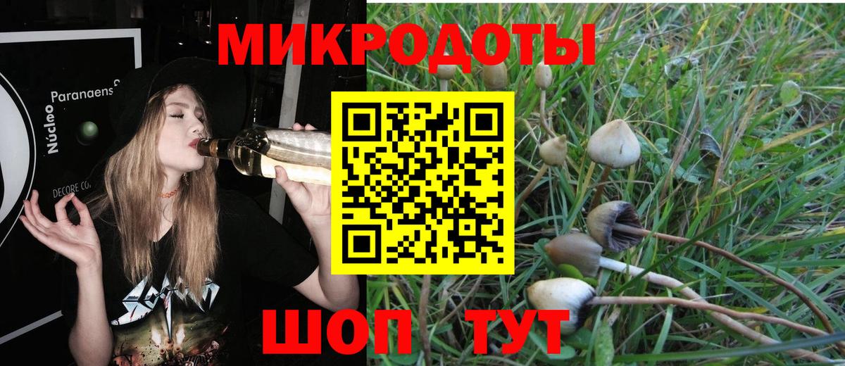 Псилоцибиновые грибы GOLDEN TEACHER Невинномысск
